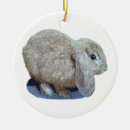 Search for lop rabbit ornaments Rabbits