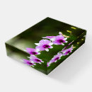 Search for orchid paperweights Garden
