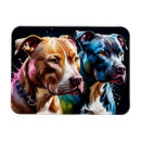 Search for american staffordshire terrier Portrait