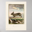 Search for bunny posters Vintage