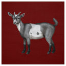 Search for goat fabric Livestock