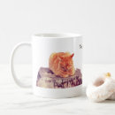 Search for orange tabby cat mugs Sleeping
