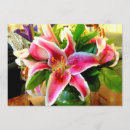Search for stargazer lily invitations Floral