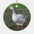 Search for goose ornaments bird