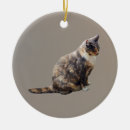 Search for brown tabby cat ornaments Pet