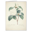 Search for camellia Victorian
