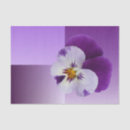 Search for transparent tissue paper White