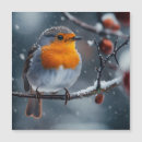 Search for bird christmas cards Branch