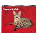 Search for savannah calendars Serval