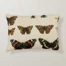 Search for insect pillows Animals