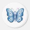 Search for butterfly magnets Cute