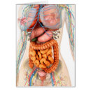 Search for human body organs Spine