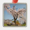 Search for japan ornaments Japanese culture