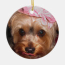 Search for yorkie ornaments Funny