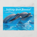 Search for jamaica postcards Greetings from jamaica