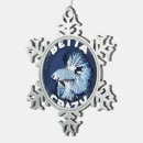 Search for aquarium ornaments Fighting