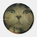Search for face magnets Cat