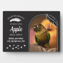 Search for bird pet memorials Feather