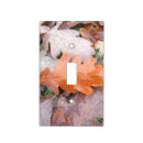 Search for rust colored plates Fall