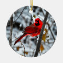 Search for cardinal ornaments Ceramic