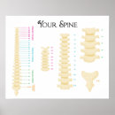 Search for chiropractic posters Health