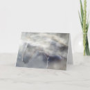 Search for equine sympathy cards Loss of horse