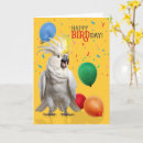 Search for bird lover birthday cards Parrot