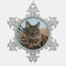 Search for brown tabby cat ornaments Kitty