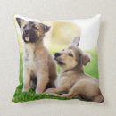 Search for german shepherd pillows Cute