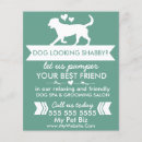 Search for dog grooming promotion flyers Pet groomer