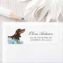 Search for dachshund return address labels Pet