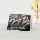 Search for trash cards Animals