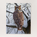 Search for owl puzzles Winter