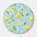 Search for lemon magnets Leaves