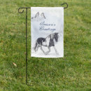 Search for gypsy vanner horse Winter