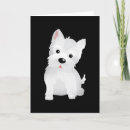 Search for bichon frise cards White dogs