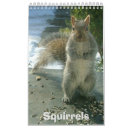 Search for squirrel gifts Rodent