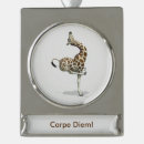 Search for giraffe ornaments Humor