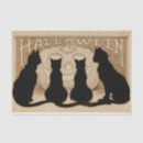 Search for halloween tissue paper Black