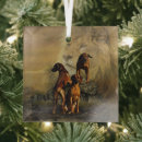 Search for rhodesian ridgeback ornaments Dog