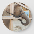 Search for elephant nursery art Zoo