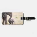 Search for elephant luggage tags Safari