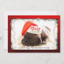 Search for pug christmas cards Puppy