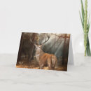 Search for deer dad cards Stag