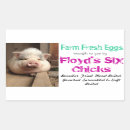 Search for egg carton labels Farming