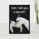 Search for funny car birthday cards Sister