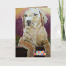Search for golden birthday cards Celebration