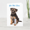 Search for funny broken get well cards Dog