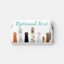 Search for dog favors Kitten