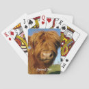 Search for scotland playing cards Cattle